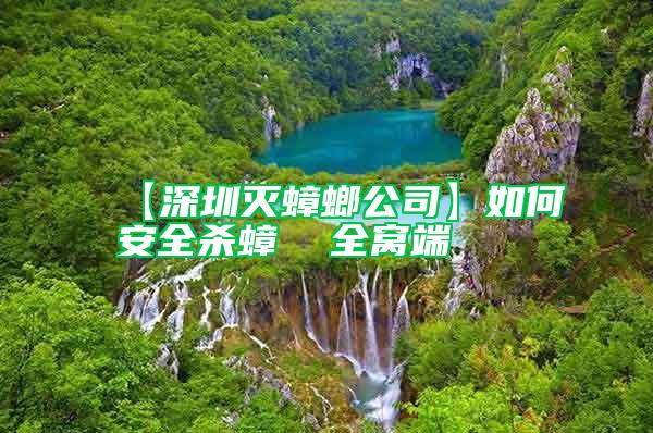 【深圳滅蟑螂公司】如何安全殺蟑 全窩端