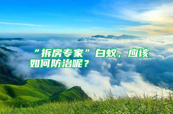 “拆房專家”白蟻,應該如何防治呢?