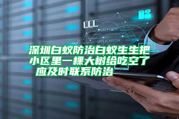 深圳白蟻防治白蟻生生把小區(qū)里一棵大樹(shù)給吃空了 應(yīng)及時(shí)聯(lián)系防治