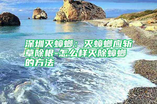 深圳滅蟑螂：滅蟑螂應(yīng)斬草除根-怎么樣滅除蟑螂的方法