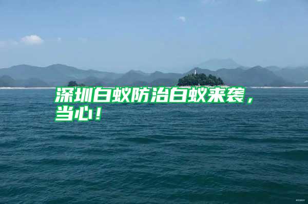 深圳白蟻防治白蟻來襲,當(dāng)心!