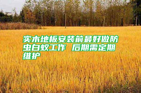 實木地板安裝前最好做防蟲白蟻工作 后期需定期維護