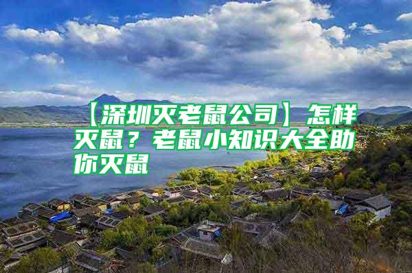 【深圳滅老鼠公司】怎樣滅鼠?老鼠小知識大全助你滅鼠