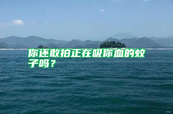 你還敢拍正在吸你血的蚊子嗎？