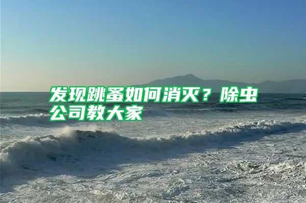 發(fā)現跳蚤如何消滅?除蟲公司教大家