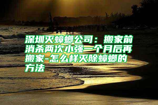 深圳滅蟑螂公司:搬家前消殺兩次小強一個月后再搬家-怎么樣滅除蟑螂的方法