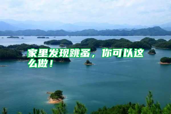 家里發(fā)現(xiàn)跳蚤,你可以這么做!