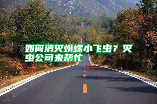 如何消滅蛾蠓小飛蟲?滅蟲公司來幫忙