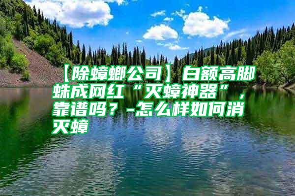 【除蟑螂公司】白額高腳蛛成網紅“滅蟑神器”,靠譜嗎?-怎么樣如何消滅蟑
