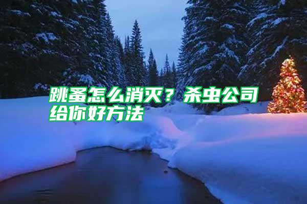 跳蚤怎么消滅?殺蟲公司給你好方法