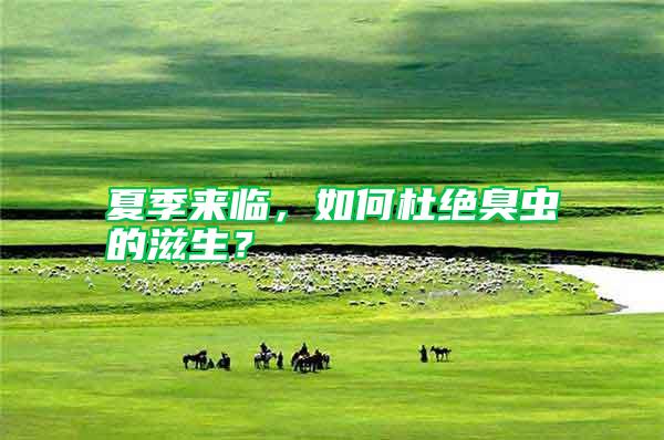 夏季來臨,如何杜絕臭蟲的滋生?