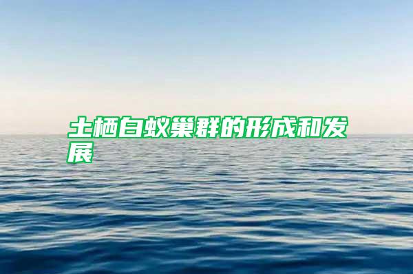 土棲白蟻巢群的形成和發展