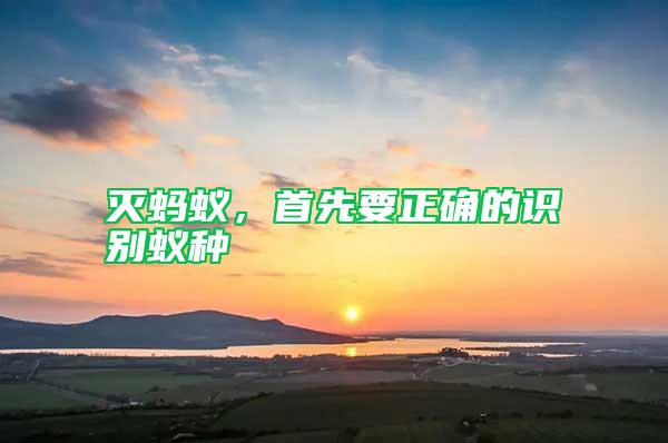 滅螞蟻，首先要正確的識別蟻種