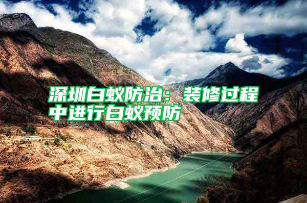 深圳白蟻防治:裝修過程中進行白蟻預防