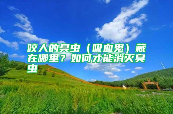 咬人的臭蟲(chóng)(吸血鬼)藏在哪里?如何才能消滅臭蟲(chóng)