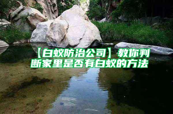 【白蟻防治公司】教你判斷家里是否有白蟻的方法