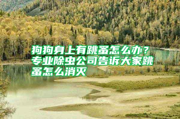 狗狗身上有跳蚤怎么辦?專業除蟲公司告訴大家跳蚤怎么消滅