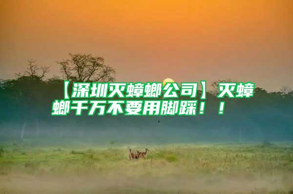 【深圳滅蟑螂公司】滅蟑螂千萬不要用腳踩!!