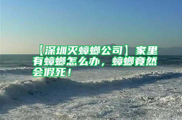 【深圳滅蟑螂公司】家里有蟑螂怎么辦,蟑螂竟然會假死!