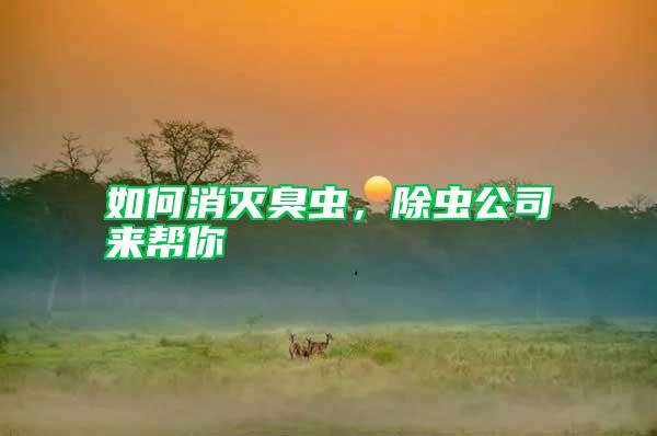 如何消滅臭蟲,除蟲公司來幫你