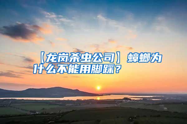 【龍崗殺蟲公司】蟑螂為什么不能用腳踩?