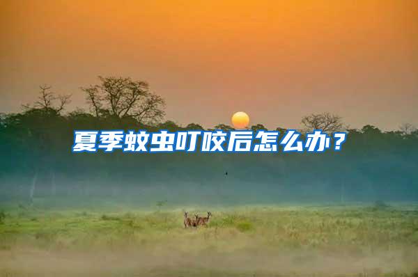 夏季蚊蟲叮咬后怎么辦？