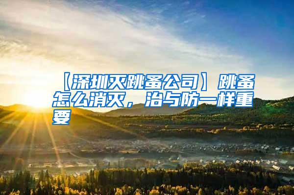 【深圳滅跳蚤公司】跳蚤怎么消滅,治與防一樣重要