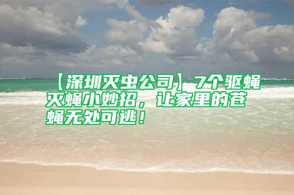 【深圳滅蟲公司】7個驅蠅滅蠅小妙招，讓家里的蒼蠅無處可逃！