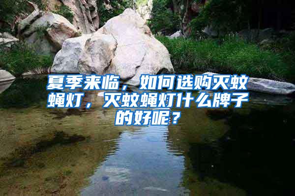 夏季來臨,如何選購滅蚊蠅燈,滅蚊蠅燈什么牌子的好呢?