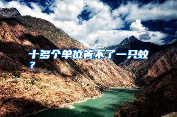 十多個(gè)單位管不了一只蚊?