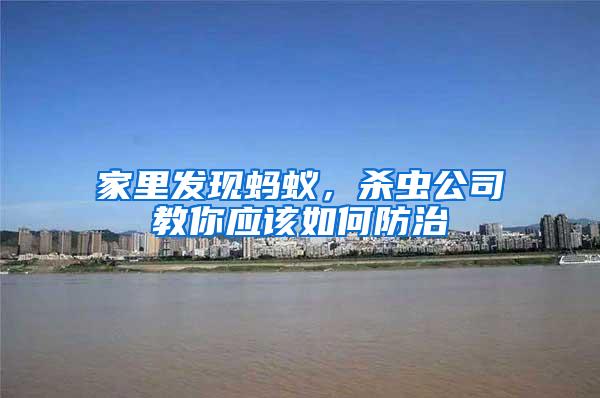 家里發(fā)現(xiàn)螞蟻,殺蟲公司教你應(yīng)該如何防治