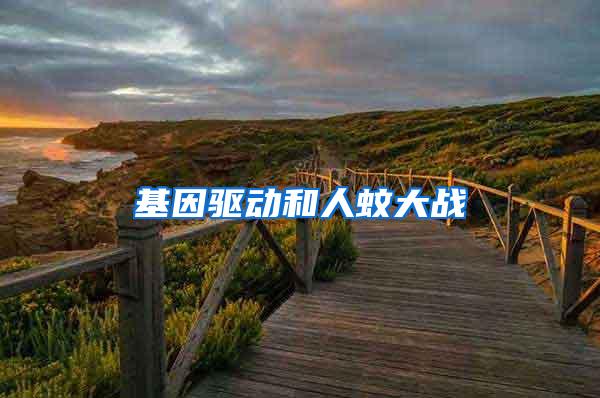 基因驅(qū)動(dòng)和人蚊大戰(zhàn)