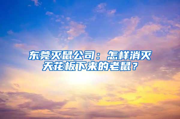 東莞滅鼠公司:怎樣消滅天花板下來的老鼠?