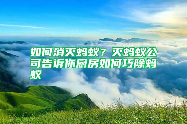 如何消滅螞蟻?滅螞蟻公司告訴你廚房如何巧除螞蟻