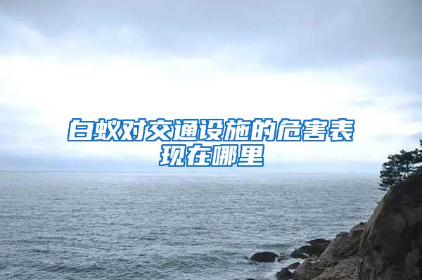 白蟻對交通設施的危害表現在哪里
