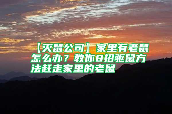 【滅鼠公司】家里有老鼠怎么辦?教你8招驅鼠方法趕走家里的老鼠