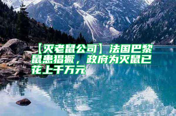 【滅老鼠公司】法國巴黎鼠患猖獗，政府為滅鼠已花上千萬元