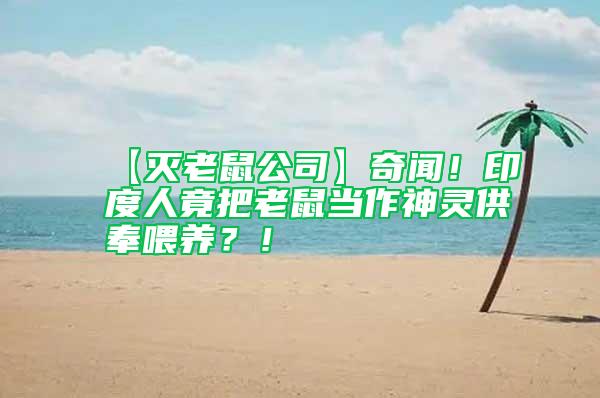 【滅老鼠公司】奇聞!印度人竟把老鼠當(dāng)作神靈供奉喂養(yǎng)?!