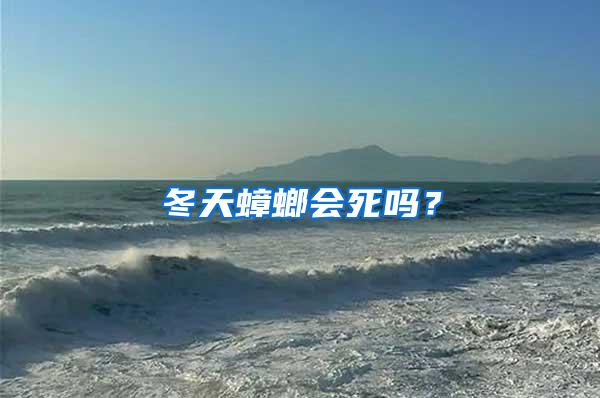 冬天蟑螂會(huì)死嗎?