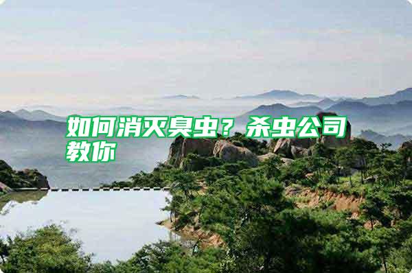 如何消滅臭蟲?殺蟲公司教你