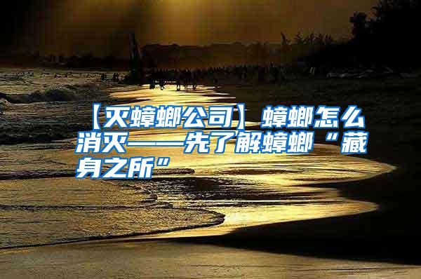 【滅蟑螂公司】蟑螂怎么消滅——先了解蟑螂“藏身之所”