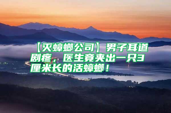 【滅蟑螂公司】男子耳道劇疼，醫生竟夾出一只3厘米長的活蟑螂！