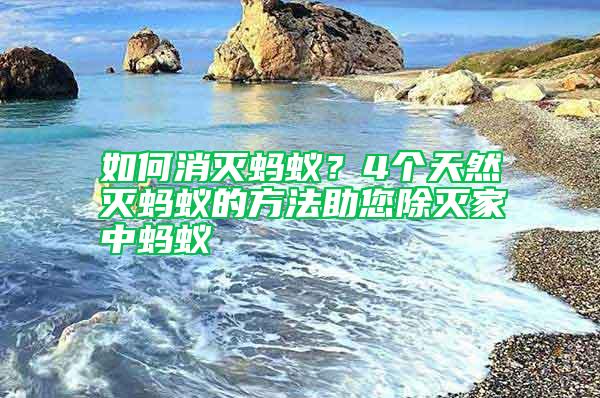如何消滅螞蟻？4個天然滅螞蟻的方法助您除滅家中螞蟻