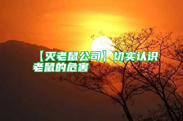 【滅老鼠公司】切實認識老鼠的危害