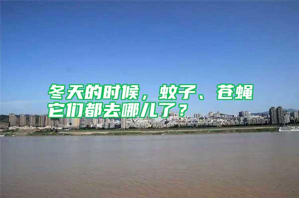 冬天的時候，蚊子、蒼蠅它們都去哪兒了？