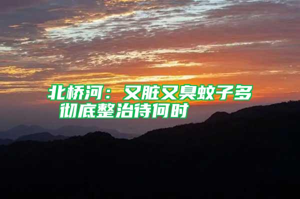 北橋河:又臟又臭蚊子多 徹底整治待何時