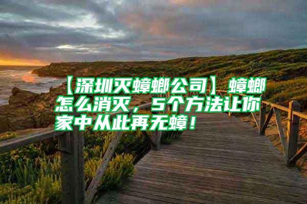 【深圳滅蟑螂公司】蟑螂怎么消滅,5個(gè)方法讓你家中從此再無(wú)蟑!