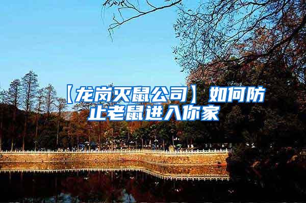 【龍崗滅鼠公司】如何防止老鼠進(jìn)入你家