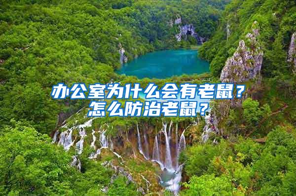 辦公室為什么會有老鼠？怎么防治老鼠？
