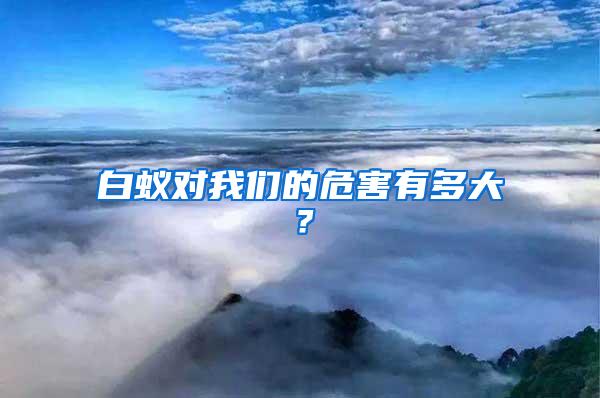 白蟻對我們的危害有多大?